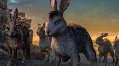 Who are the characters in Watership Down? From Fiver and Bigwig to ...