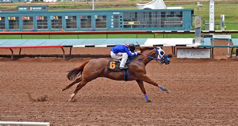 Ruidoso Downs Race Track and Casino
