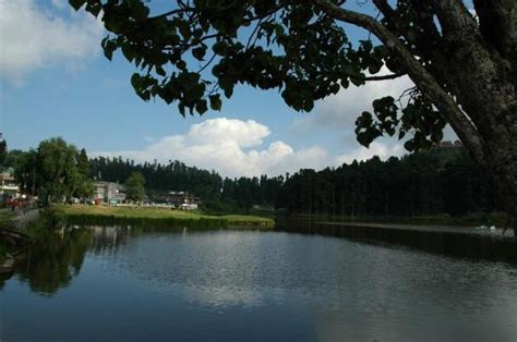 West Bengal Photos - Featured Images of West Bengal, India - Tripadvisor