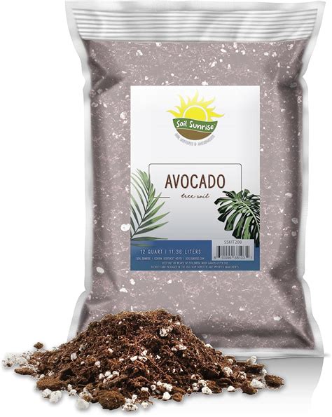 Amazon.com : Avocado Tree Potting Soil Mix (12 Quarts), for Germinating ...