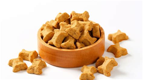 Food Allergy In Dogs: Vegan Dog Food To The Rescue!