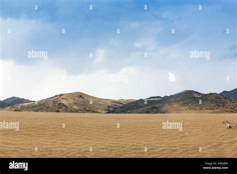 Saudi Arabia 的图像结果