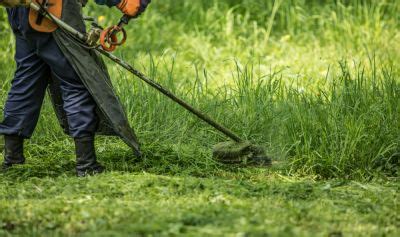 Image result for Pictures for Whacking To