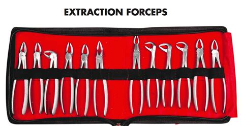Tooth Forceps Premium Range GDC PK/12 - Dentalmart