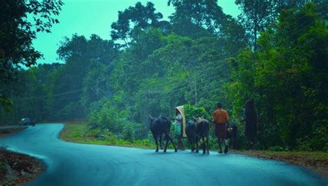 Thirthahalli Pictures - Traveller Photos of Thirthahalli, Shimoga ...