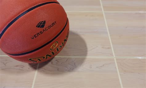 Basketball 的图像结果