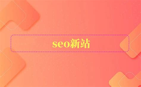 seo新站-聚商网络营销