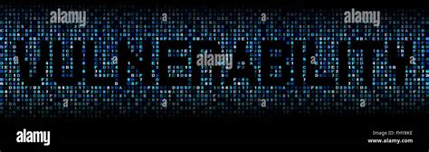 Image result for Finding Vulnerabilities Using Hex Bar