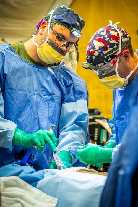 Image result for Viper Exercise