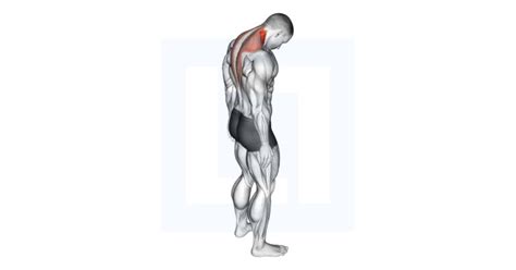 Image result for Forward Neck Position Tight Muscle Front