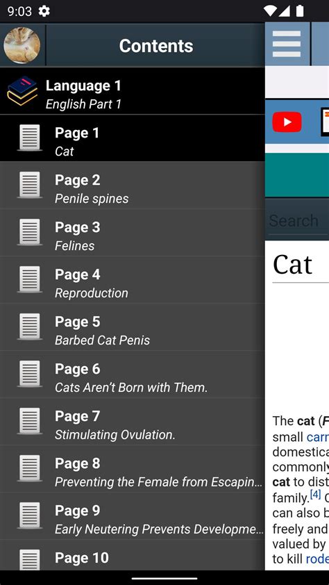 Cat penis Anatomy APK per Android Download