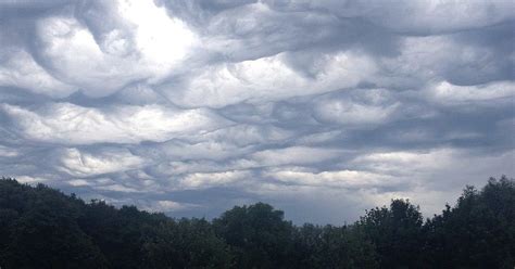 How to discover a new ‘species’ of cloud – a sky spotter’s guide