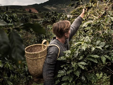 Coffee Processing Technology 的图像结果