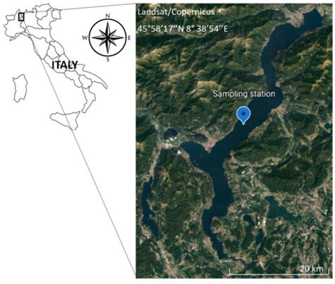 Zooplankton as Mercury Repository in Lake Maggiore (Northern Italy ...