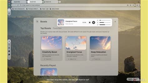 Image result for Opera Flight