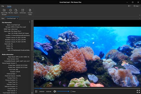 Image result for How to Open MP4 1 File