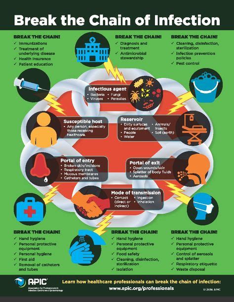 6 links in the chain of infection