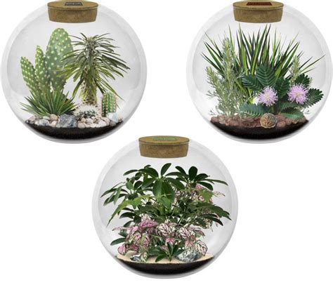 Buy Earth, Moon & Mars Biodome Complete Set Online at Lowest Price in ...