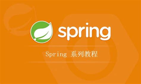 Spring Trans 的图像结果