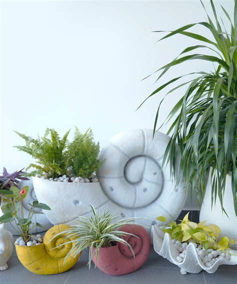 Sea Shell Planter | Zufolo Designs