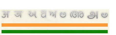 BOTLEAF Green Small Cardamom Seeds Whole 100 GM Sourced from our own ...