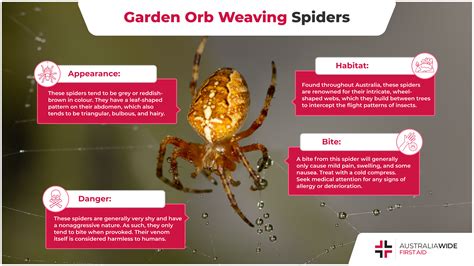 Weaving Spiders Come Not Here Meaning