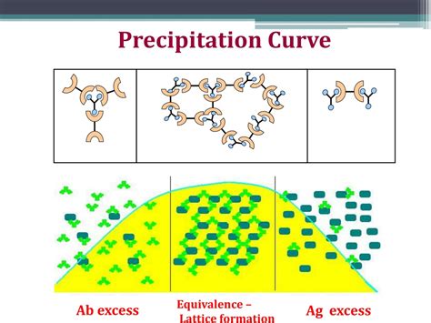 PPT - Precipitation reaction PowerPoint Presentation, free download - ID:9339140