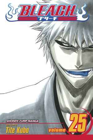 VIZ | Read a Free Preview of Bleach, Vol. 24