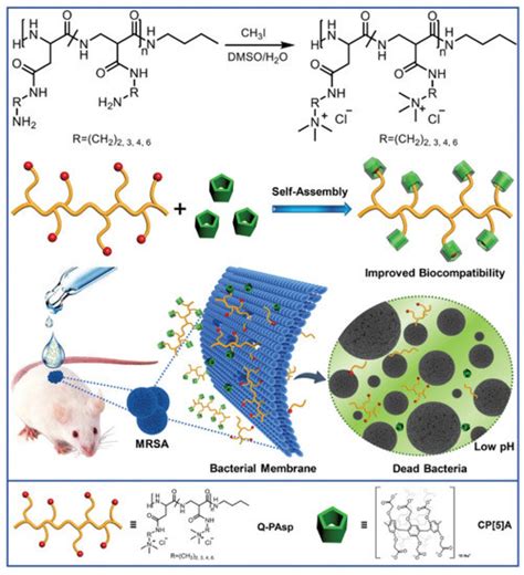 Combatting Antibiotic Resistance Using Supramolecular Assemblies
