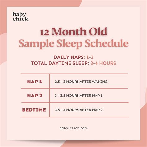 12-month-old baby: Feeding, sleeping and milestones by month – Healthtost