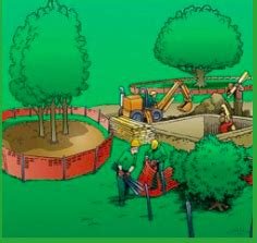 Image result for ISA Arborist Study Guide