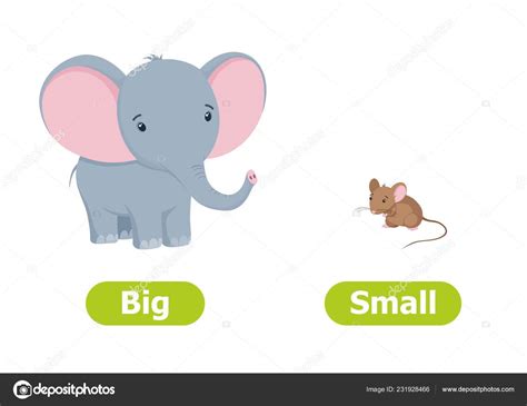 Big And Small Cartoon