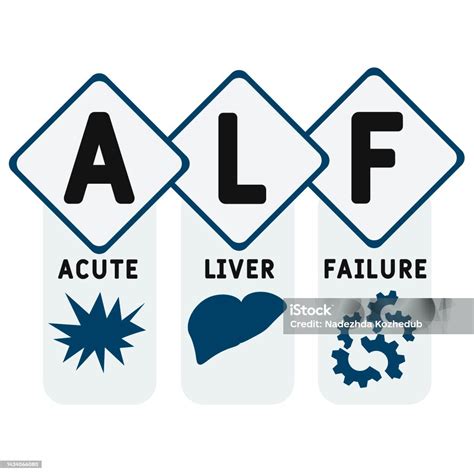 Alf Acute Liver Failure Acronym Stock Illustration - Download Image Now ...