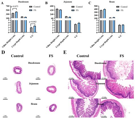 Maternal Ferrous Sucrose Supplementation Improves Reproductive ...