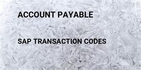 Image result for Account Payable Process SAP Tcode Use