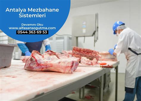 Antalya Mezbahane Sistemleri | Alfasan Soğutma