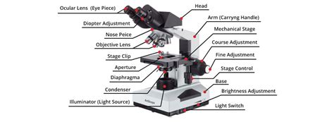 Image result for How to Use AmScope Microscope