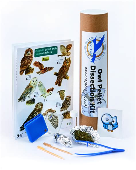 Owl Pellet Dissection Kit - Advanced — Raptor Aid