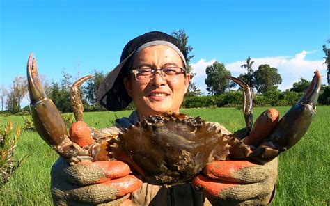 海南最近大螃蟹没人抓？渔夫白捡1斤多大螃蟹，乐坏了-思乡渔夫-思乡渔夫-哔哩哔哩视频