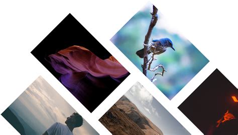 Image result for Free Editable Video Templates