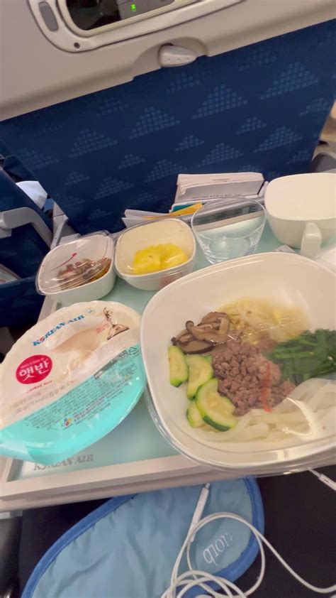North Korean Airline Food