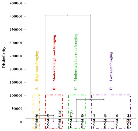 Phenotypic Variability of Root System Architecture Traits for Drought ...