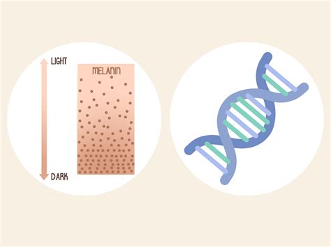 What Is the Most Attractive Eye Color (and Why)?