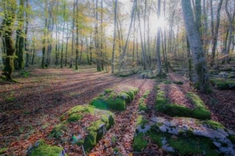 ¿Qué es para ti el atardecer?