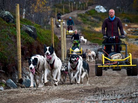 HUSKY TOURS BY SNOWHOTEL KIRKENES (2026) All You Need to Know BEFORE ...