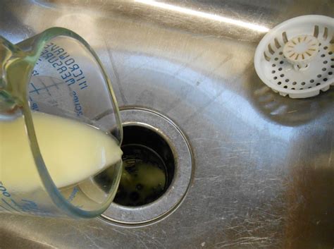 Image result for Garbage Container Cleaner