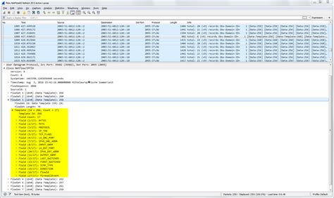 Ntopng NetFlow Cisco 的图像结果