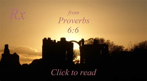 Image result for Proverbs 6 Lesson