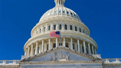 Image result for Flutter Kick Stream Line