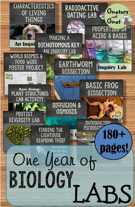 Image result for Bio Lab Experiments